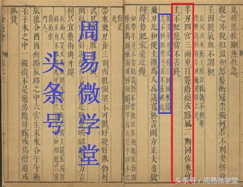 丑庫|八字命理:四墓庫詳論、精論